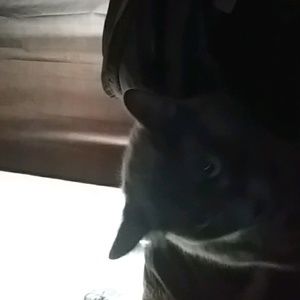 Meet your Posher, Alexia